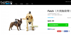 GoPro Fetch：汪星人专属相机 让你看到狗